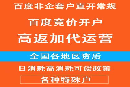 实战派经验分享：百度竞价代理成功案例揭秘